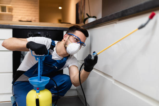 Best Flea Control Services  in Yorkville, WI