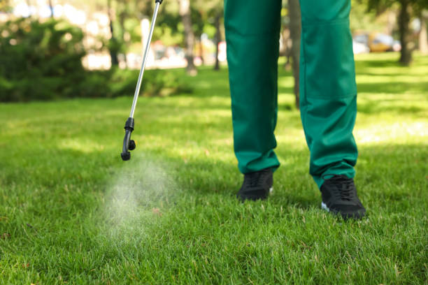 Best Affordable Pest Control Services  in Yorkville, WI