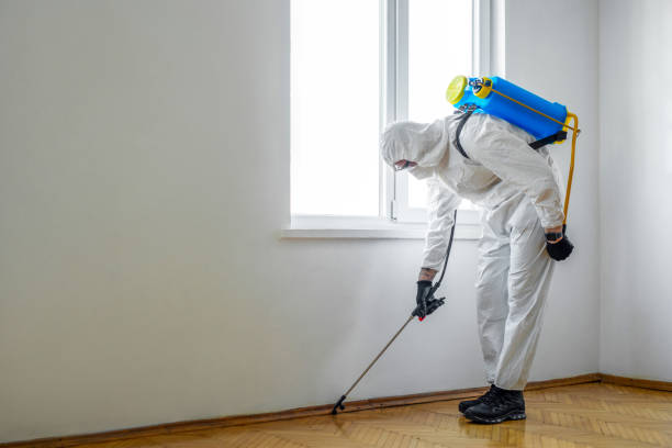 Best Commercial Pest Control Services  in Yorkville, WI