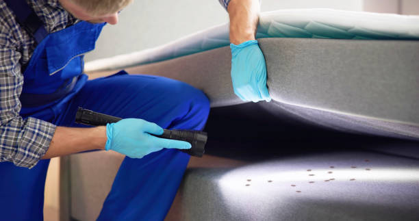 Flea Control Services in Yorkville, WI