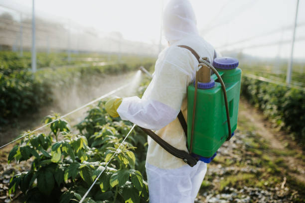 Best Best Pest Control Companies  in Yorkville, WI